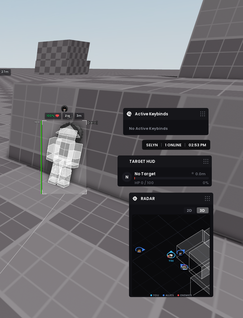 Selyn Cool 3D and 2D Radar Options
